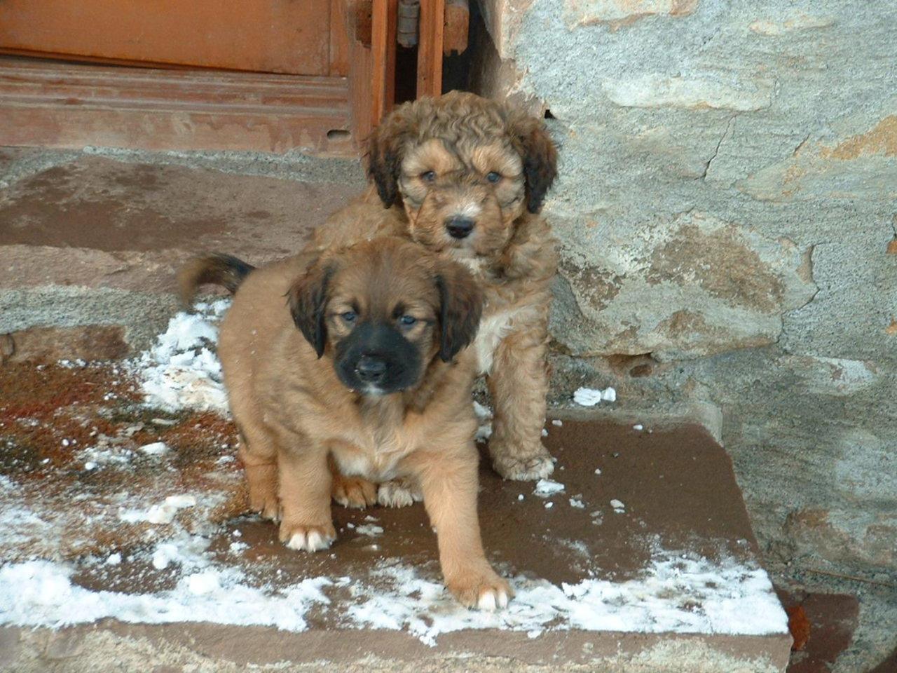 Casa Rural Haitzetxea Zugarramurdi Bagian luar foto