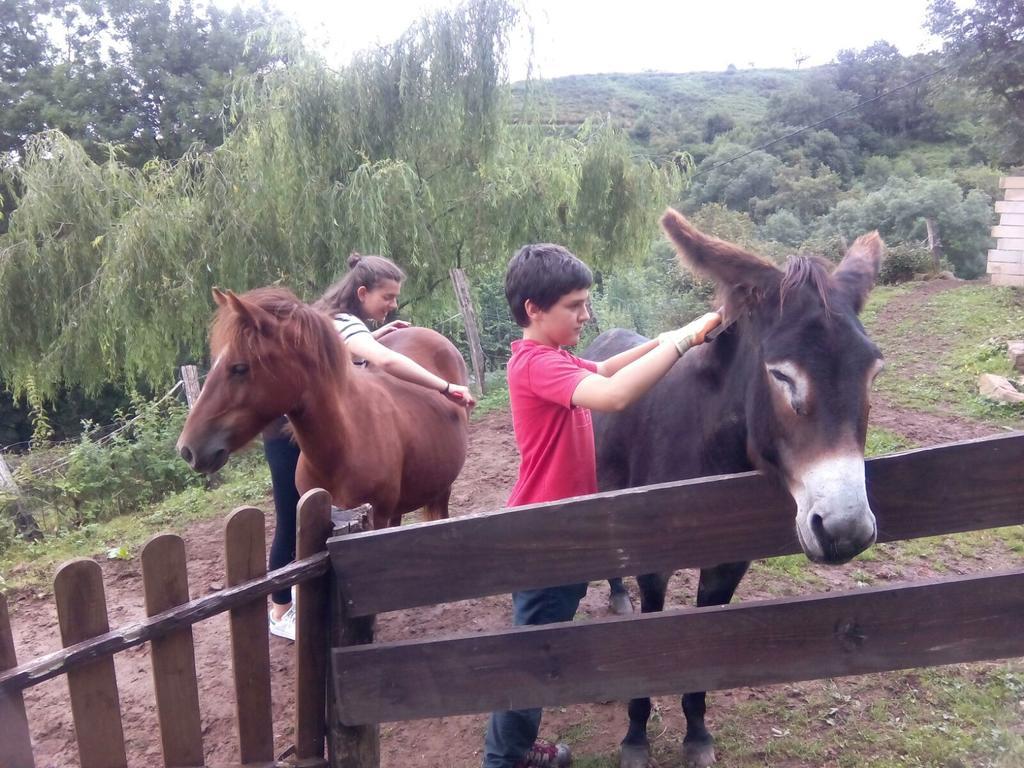 Casa Rural Haitzetxea Zugarramurdi Bagian luar foto